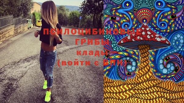 ешки Ладушкин