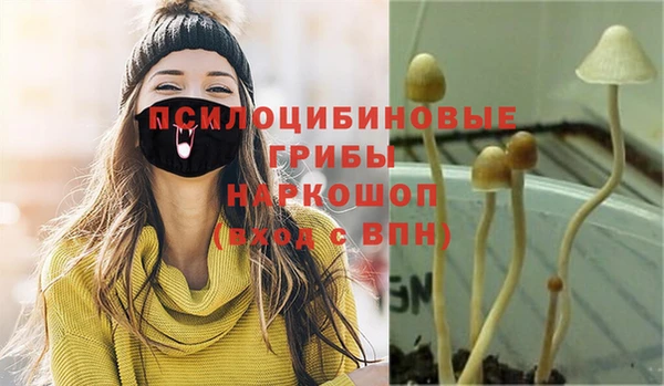 ешки Ладушкин