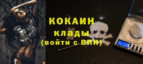 ешки Ладушкин