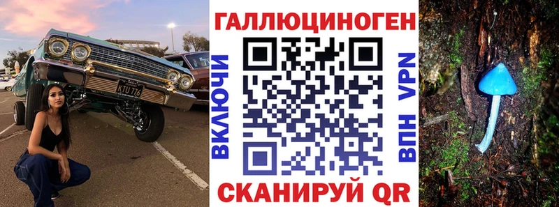 Псилоцибиновые грибы Psilocybe  Купить  Славянск-на-Кубани 